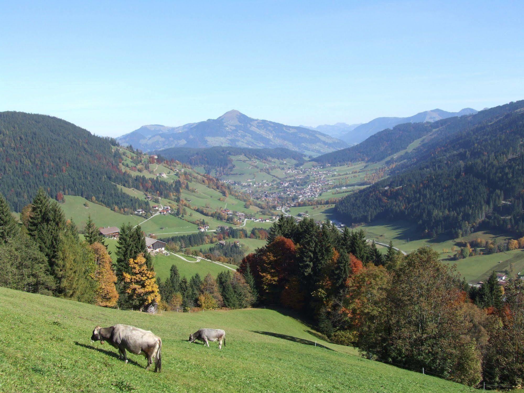 Alpenchalet Almrose Auffach Bagian luar foto
